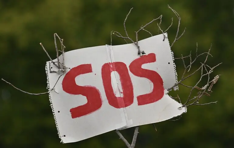 Phantom Elections Beat Real War—Or What You Would Rather Not Know About the 2026 Budget