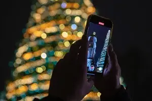 Головні ялинки України засіяли у Києві та Львові