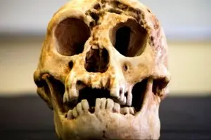 Учені розповіли, чому вимерли 