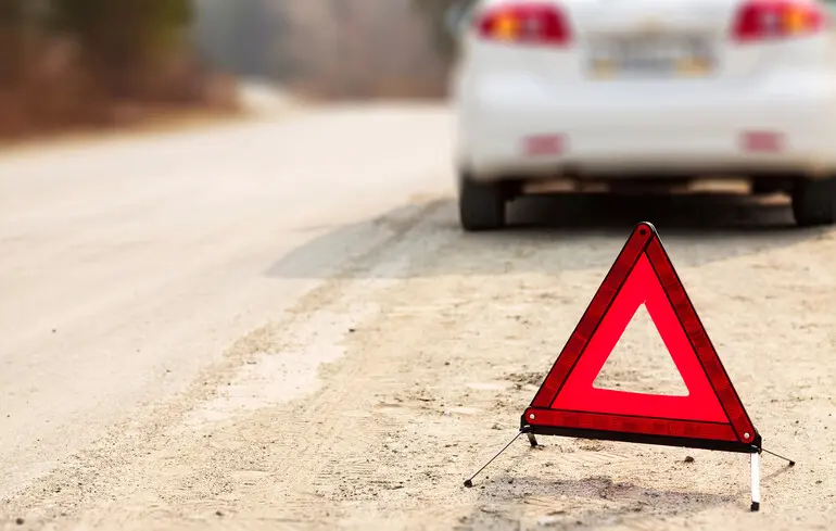 У Чернігівській області поліцейські на пішохідному переході на смерть збили дитину