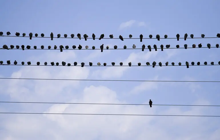 Украина на выданье. Как мир нас любил, а потом разлюбил