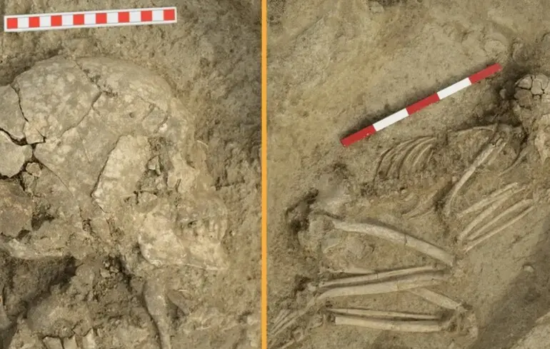 6200 лет назад лев напал на подростка, и тот выжил