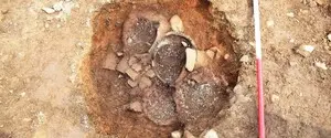 Людей погубила загадочная катастрофа: ученые нашли необычное захоронение в Шотландии