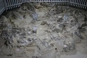 Стародавні жителі України будували житло з кісток мамонта: коли це було
