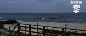 Не нефть: стала известна причина загрязнения Черного моря в районе Одессы, акватория порта 