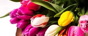 Благодійний кейс Flowers.ua: «Квіти для матері загиблого героя»