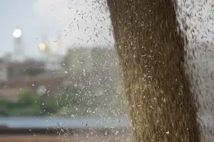 В ВАР рассказали, при каких условиях Украина и ЕС могут стать крупнейшим производителем продовольствия в мире