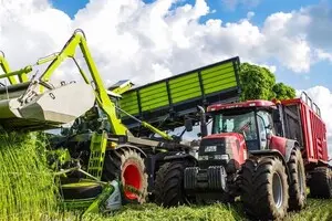 Конопля и горох в ближайшие годы могут стать новым подсолнечником для аграриев Украины