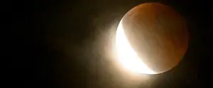 На ночном небе можно увидеть «танец» Луны и Регула