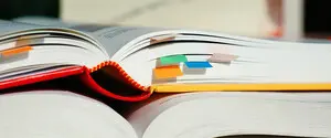 В школах Австрии введут изучение украинского языка как второго иностранного