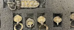 Вместе с оружием: в Венгрии нашли захоронения элитных воинов возрастом 1100 лет
