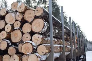 Пиріг і батіг для наглядачів лісової галузі