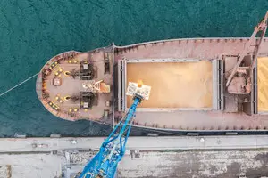 Экспорт пшеницы из Украины упал на четверть: как порты Одессы работают под огнем &mdash; Bloomberg