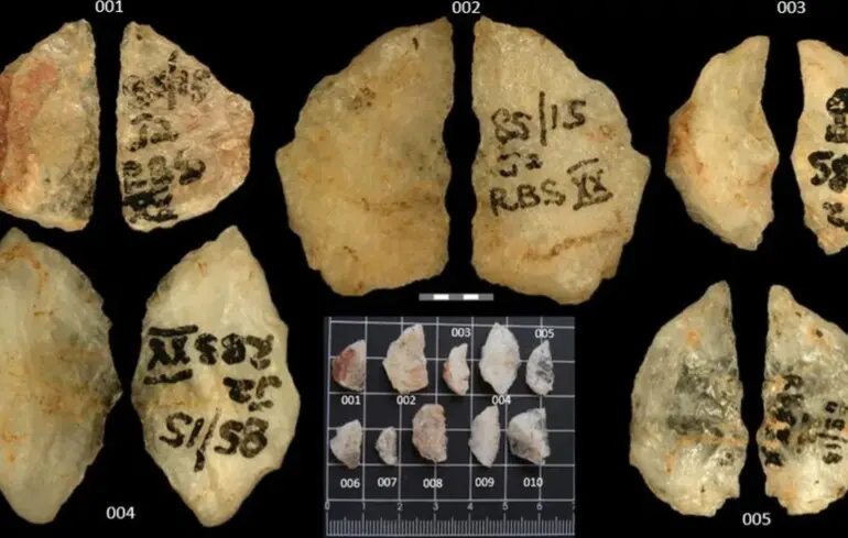 П'ять наконечників стріл з двома рослинними токсинами.