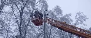 Морозы до -18 и порывы ветра: какой будет погода в Украине