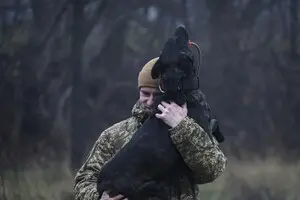 Не інструмент, а напарник. Як працюють чотирилапі захисники