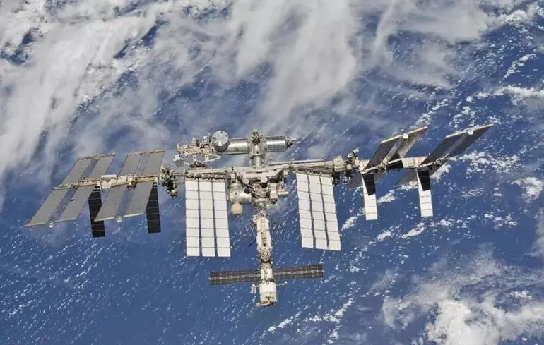 Віруси, які виросли на МКС і повернулися на Землю, успішніше атакують бактерії