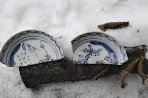 У палаці на Хмельниччині під час ремонту знайшли порцелянову тарілку XIX століття