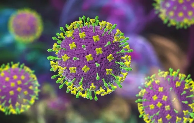 Вирус Nipah: чем опасна инфекция и угрожает ли она Украине