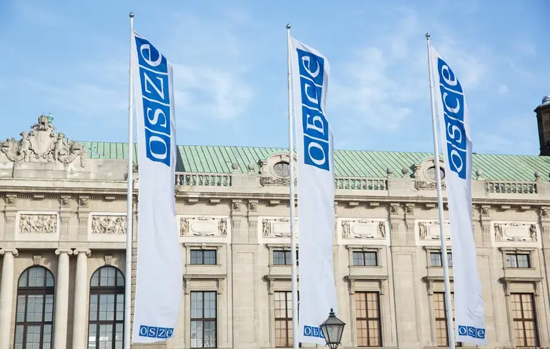 ОБСЕ готова содействовать в мониторинге прекращения огня в Украине