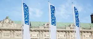 ОБСЕ готова содействовать в мониторинге прекращения огня в Украине