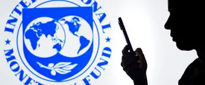 МВФ просчитался: Украина не сможет достичь финансовой самодостаточности за счет НДС для ФЛП