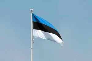 В Эстонии задержали контейнеровоз с российским экипажем по подозрению в контрабанде