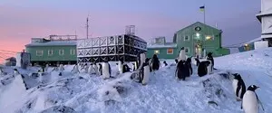Женщина впервые возглавит украинскую антарктическую экспедицию: кто вошел в новую команду