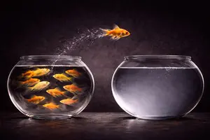 Behind Glass: Negotiations Without a Finale, Elections Without Peace?