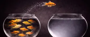 Behind Glass: Negotiations Without a Finale, Elections Without Peace?