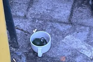 У Львові виявили бойову гранату в горнятку біля смітника