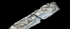 Ученые опровергли утверждения о том, что младенцев в Римской империи не оплакивали