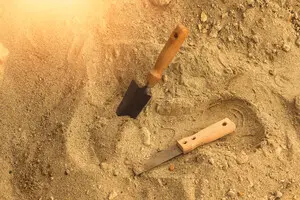 Археологи знайшли останки жінки, яку 7000 років тому поховали як чоловіка