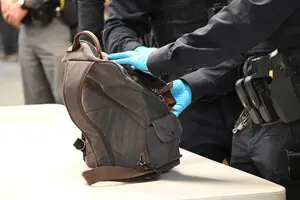 Резонансні невідкладні обшуки створюють ілюзію масових зловживань — експерт