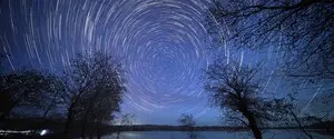 Ночь может стать ярче дня: ученые предупреждают об угрозах для людей и животных