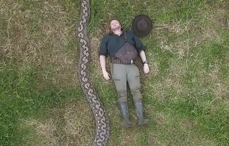 Людина поруч з найдовшою змією світу.