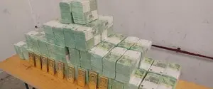 В Венгрии зарегистрировали законопроект о конфискации похищенных в 