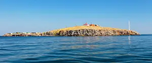 В ВМС рассказали, могут ли россияне высадить десант на остров Змеиный