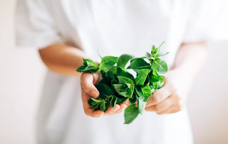 Фото ілюстративне.