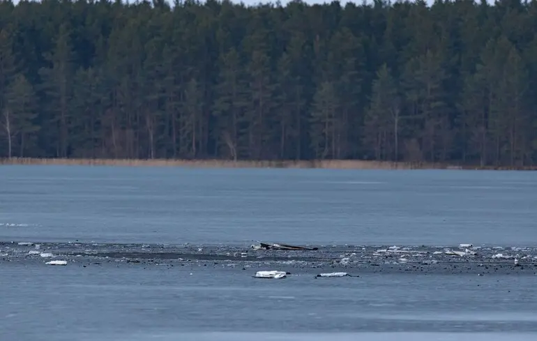 Дрон залетел в Литву и взорвался вблизи границы с Беларусью