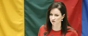 Дрон, который залетел в воздушное пространство Литвы, был украинским — премьер-министр страны