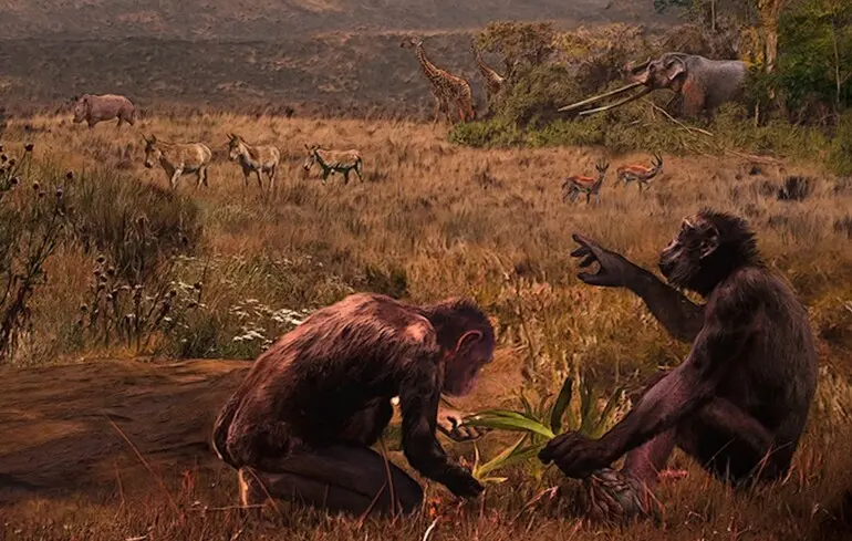 Загадочная древняя обезьяна могла ходить на двух ногах – ученые