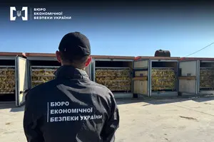 Через вибірковий підхід уряду до оплати праці БЕБ досі залишається критично неукомплектованим — експерт 