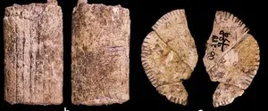 Ученые нашли самые древние игральные кости