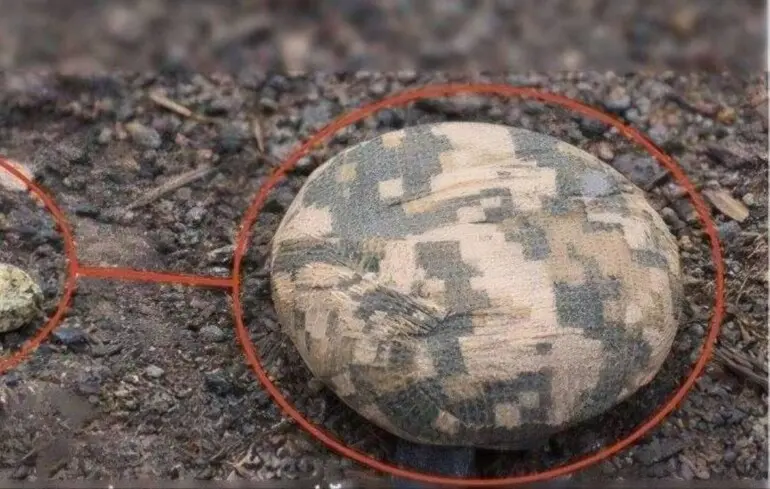 Окупанти почали мінувати ще одне місто «Пряниками»: що відомо