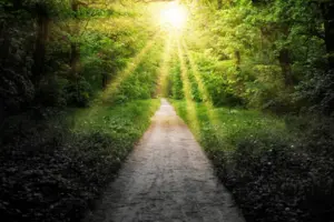 Сад божественных песен: диалог с Богом