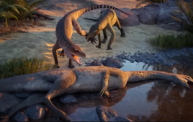 Через 80 років зберігання в музеї: вчені ідентифікували викопного родича крокодила