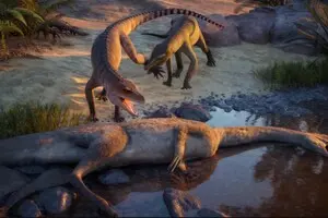 Спустя 80 лет хранения в музее: ученые идентифицировали ископаемого родственника крокодила