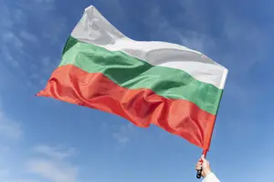 Выборы в Болгарии: пророссийский кандидат, ожидание дезинформации и вмешательства в избирательный процесс