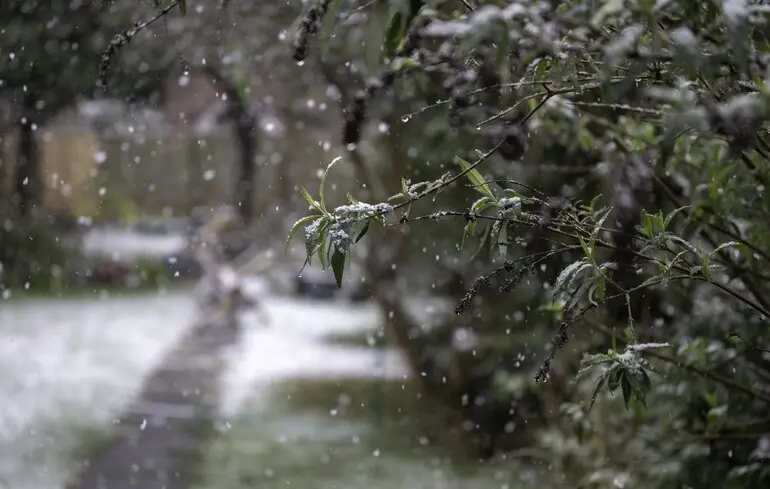 Похолодання та заморозки: синоптик попередив про різку зміну погоди